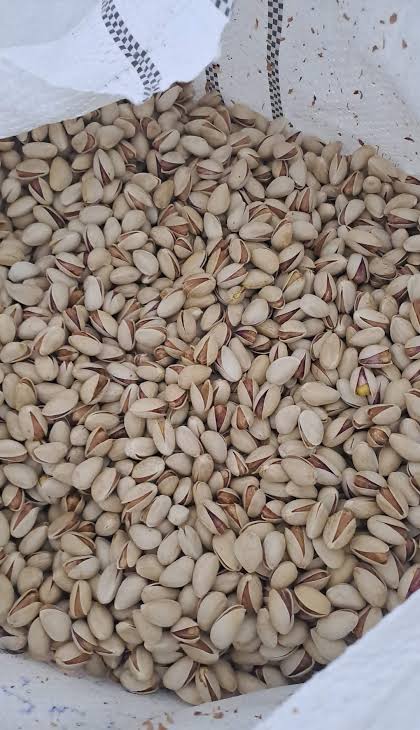 پسته احمد آقایی یکدست + مناسب تجارت بین المللی خشکبار + قیمت و خرید عمده